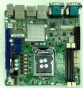 IMB-161