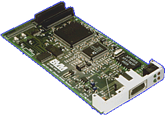pmc100tx.gif (21232 bytes)